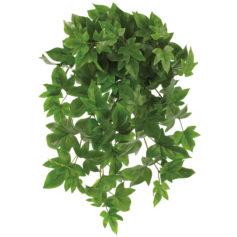 24" Silk Ivy Leaf Plant -Green (Pack of 6)