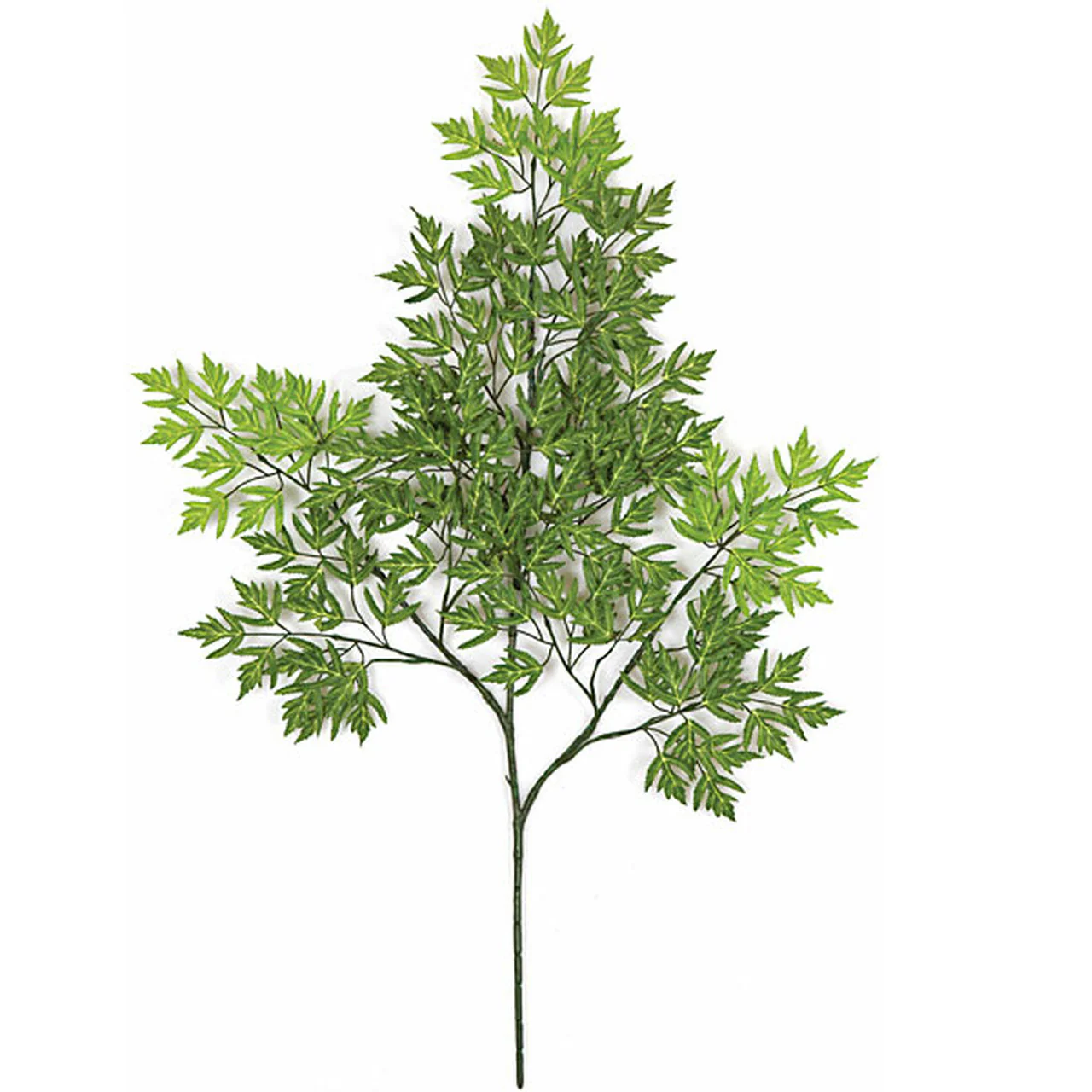 24" Silk Ming Aralia Leaf Branch Stem -2 Tone Green (Pack of 12)