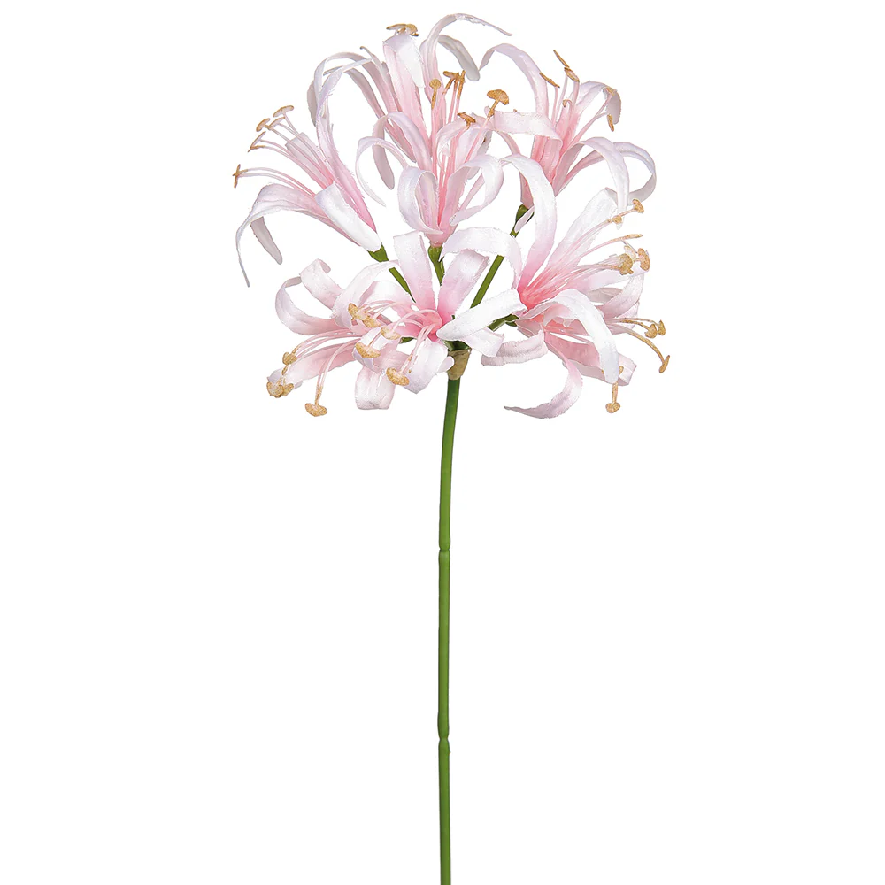 24" Silk Nerine Lily Flower Stem -Light Pink (Pack of 12)