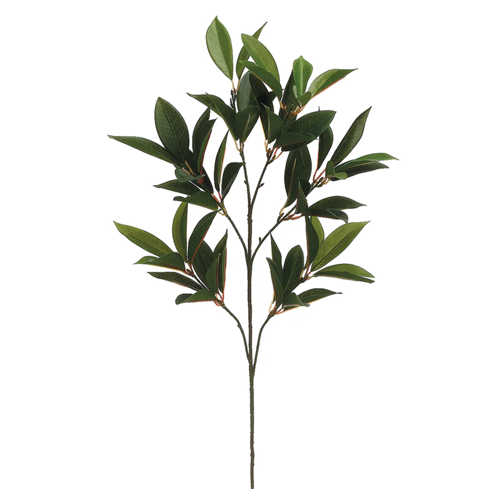 24" Silk Shikiba Stem -Green (Pack of 12)