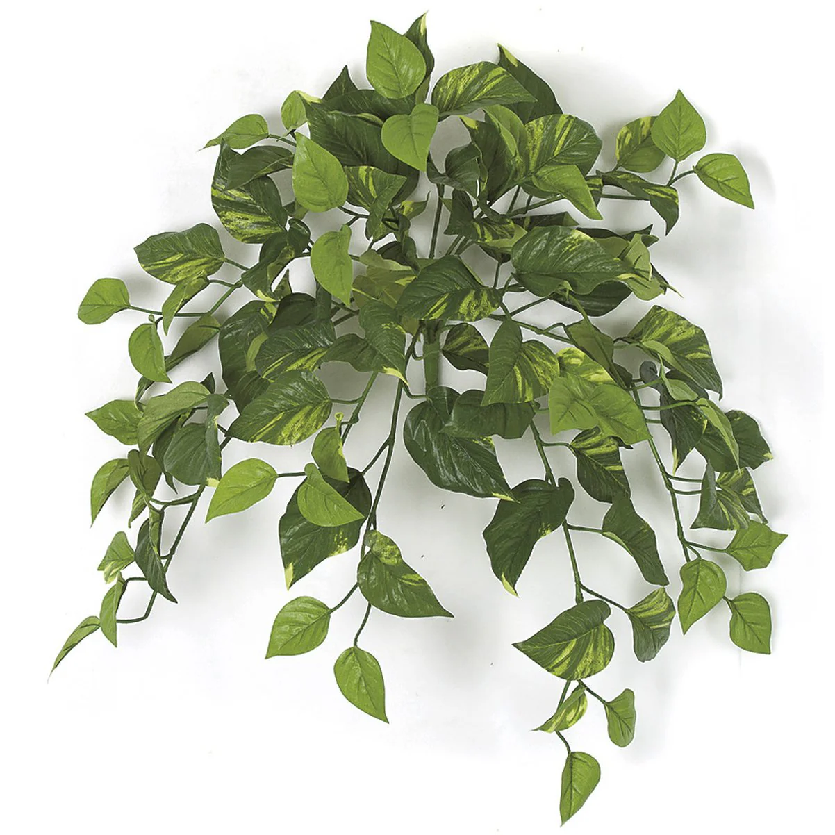 24" Variegated Pothos Vine Artificial Hanging Plant -100 Leaves -Green (Pack of 6)