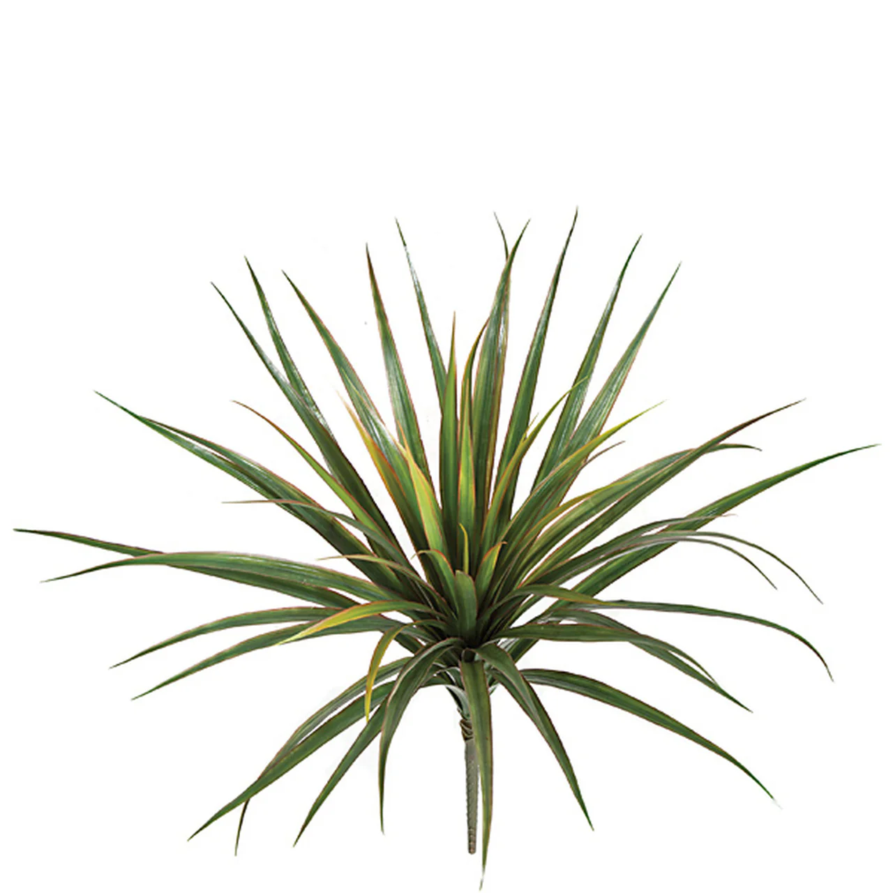 24" Yucca Artificial Plant -Green/Red (Pack of 6)