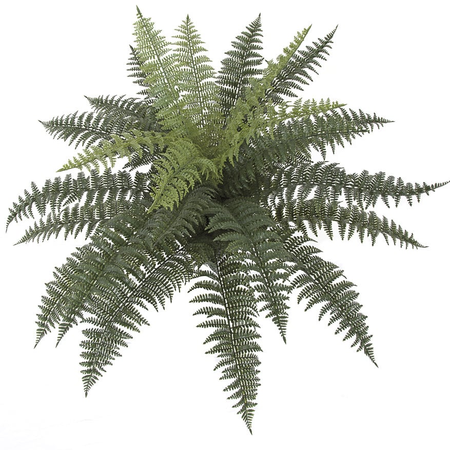 24"Hx33"W Outdoor UV-Proof Artificial Ruffle Fern Plant -Green (Pack of 2)