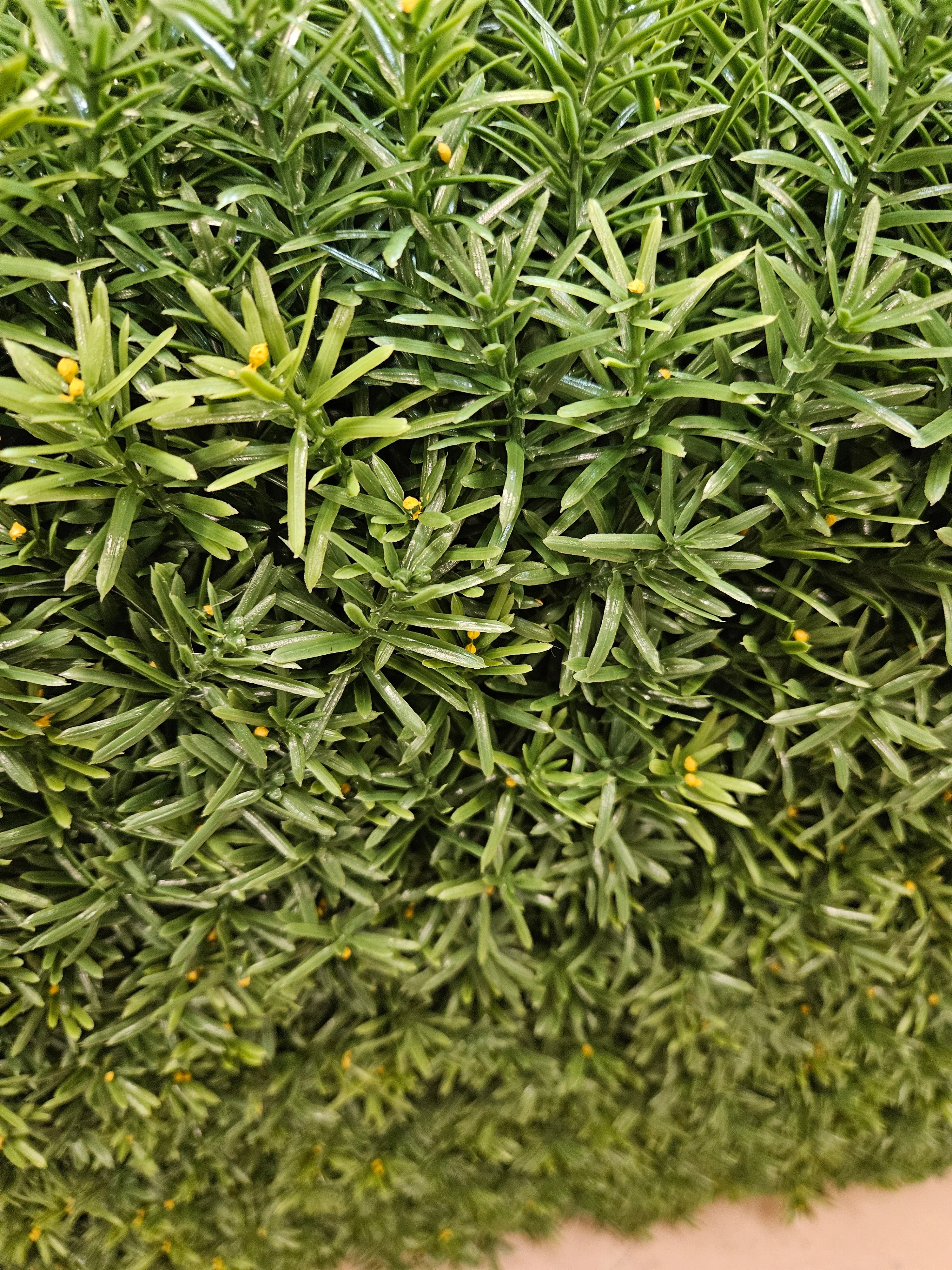 24"Hx48"Wx10"D Outdoor UV-Resistant Artificial Taxus Baccata Topiary Hedge -Green - Image 3