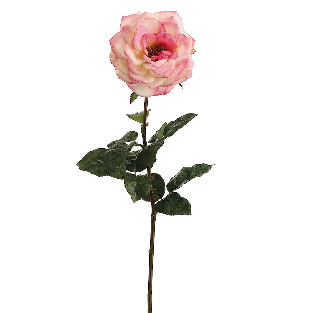 25.5" Real Touch Orlane Rose Silk Flower Stem -Cream/Pink (Pack of 12)
