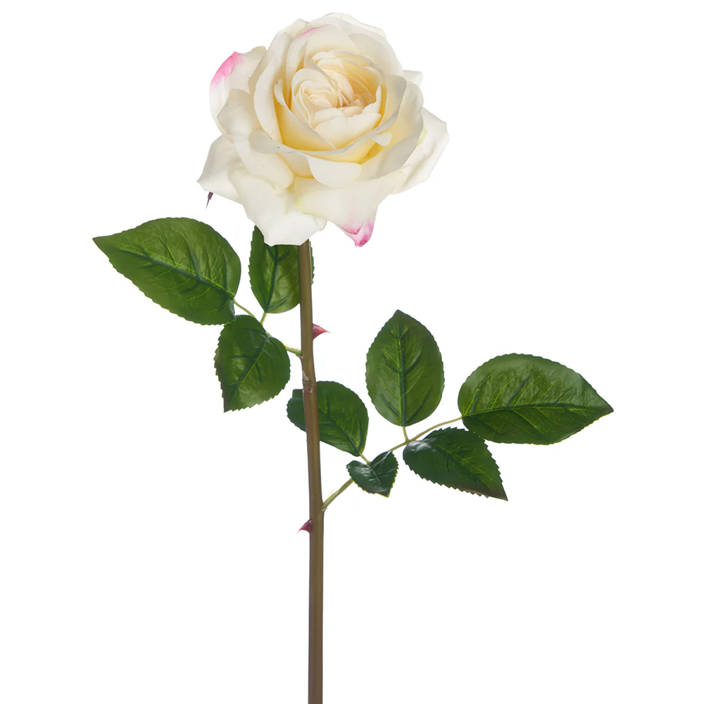 25.5" Real Touch Silk Rose Flower Stem -Cream (Pack of 12)