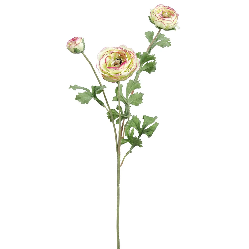 25.5" Silk Ranunculus Flower Stem -Green/Pink (Pack of 12)
