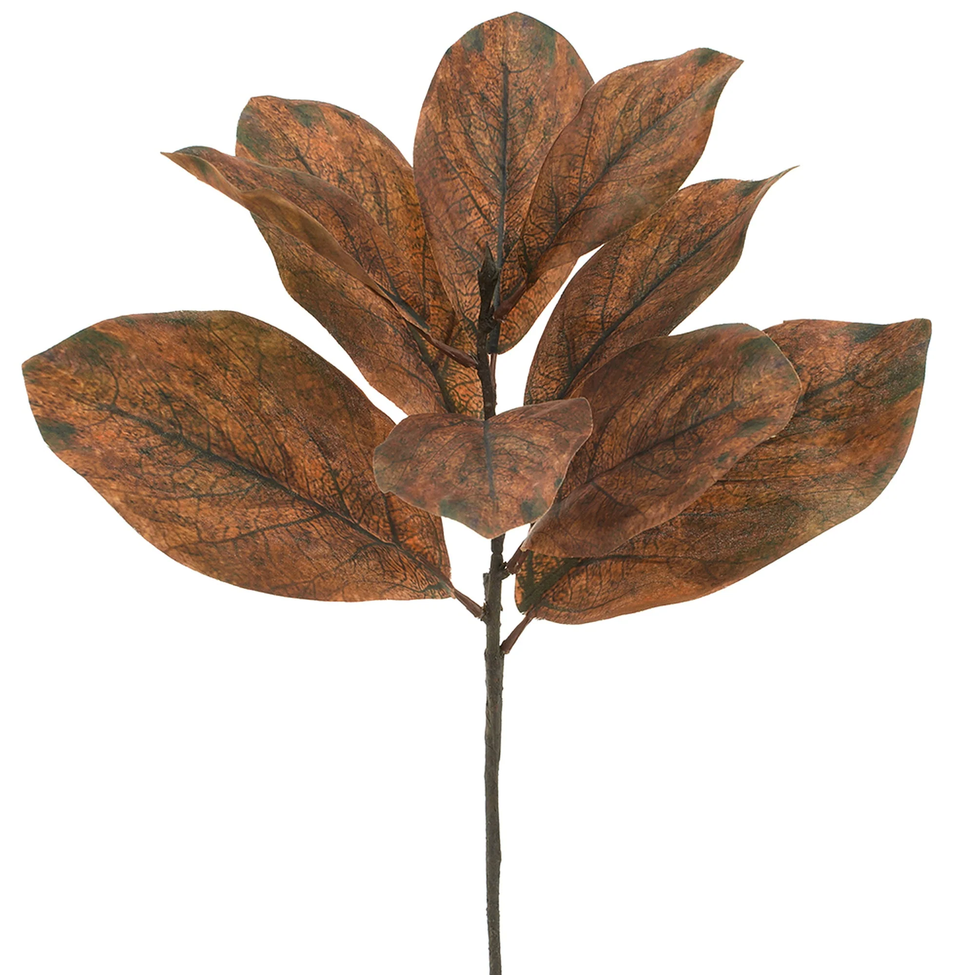 25" Artificial Magnolia Leaf Stem -Brown (Pack of 12)