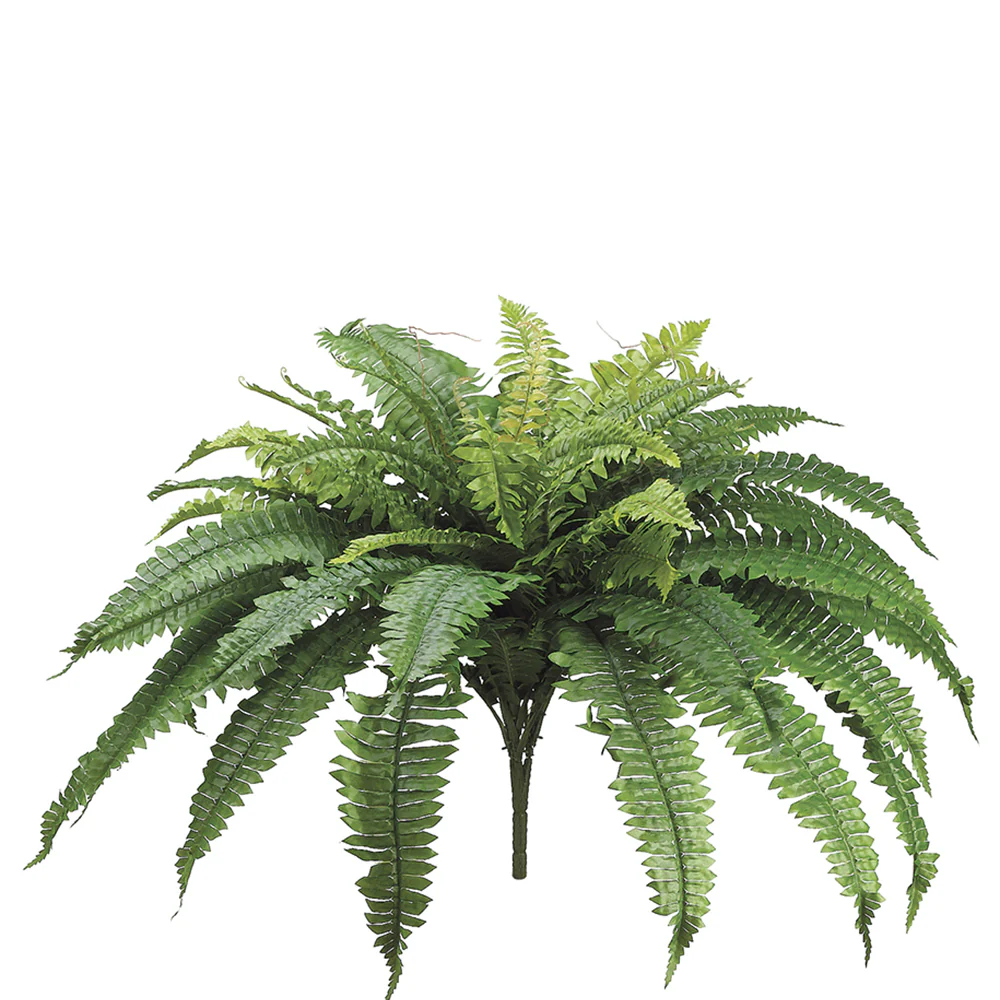 25" Boston Fern Silk Plant -48 Leaves -Green (Pack of 6)