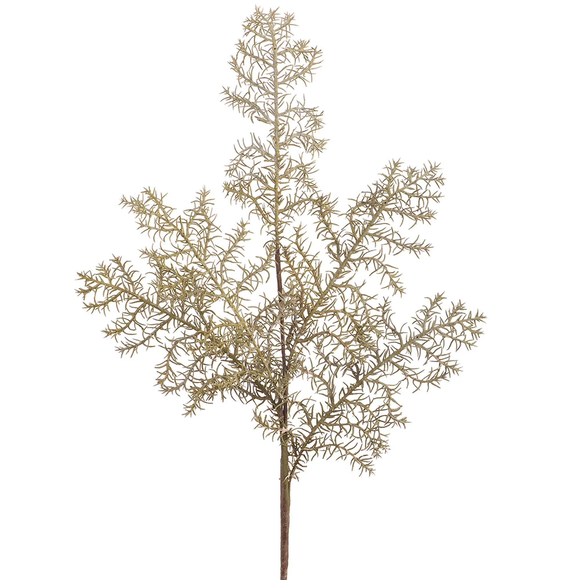 25" Cypress Leaf Artificial Stem -Beige (Pack of 12)