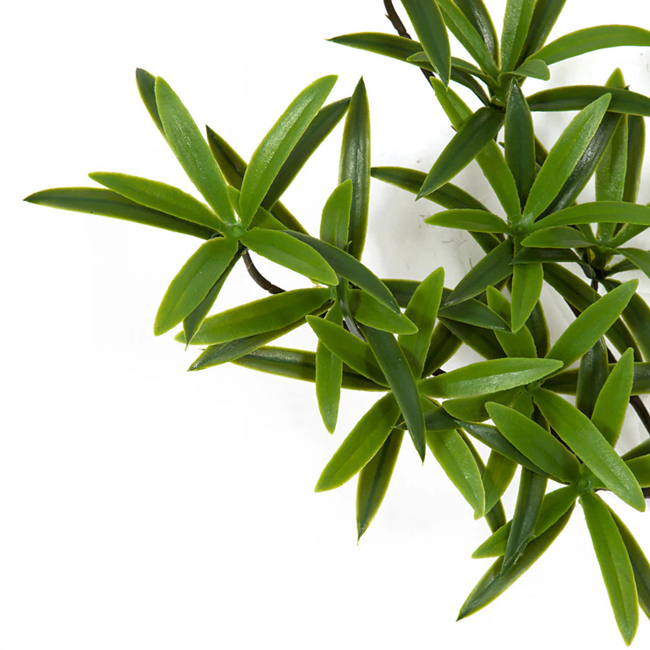 25" IFR Artificial Podocarpus Branch Stem -Green (Pack of 6) - Image 2