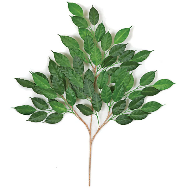 25" IFR Artificial Spring Ficus Branch Stem -Green (Pack of 24)