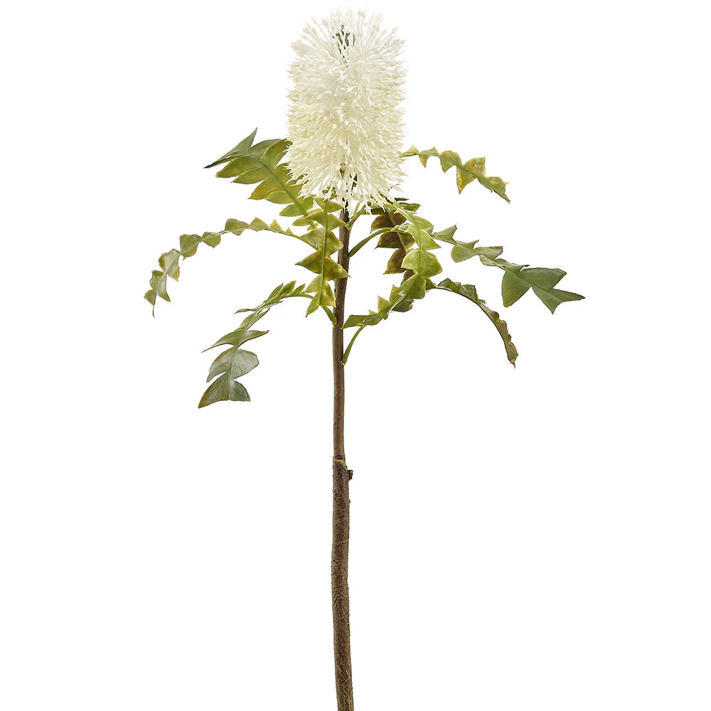 25" Protea Artificial Flower Stem -White (Pack of 12)