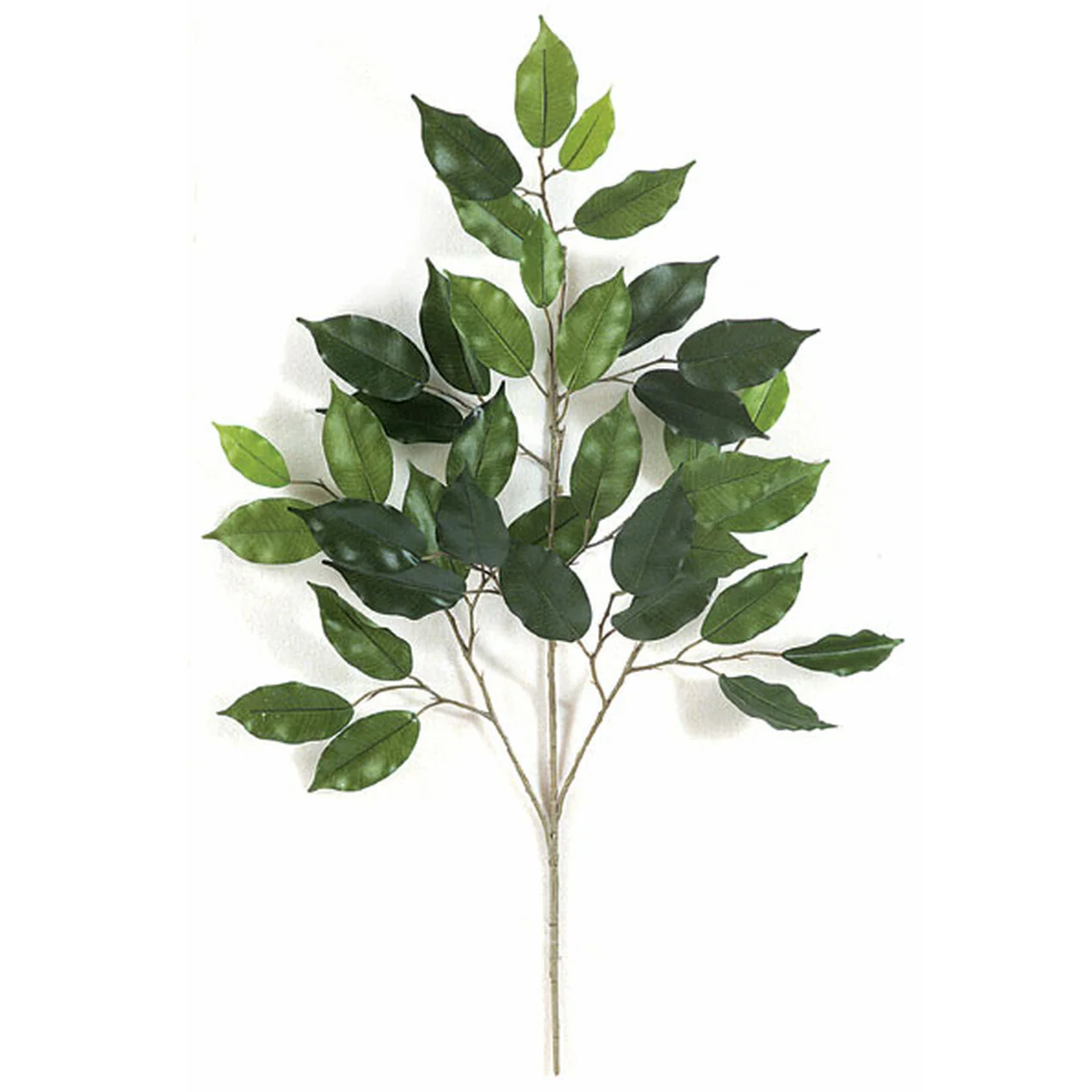25" Silk Ficus Leaf Stem -2 Tone Green (Pack of 24)