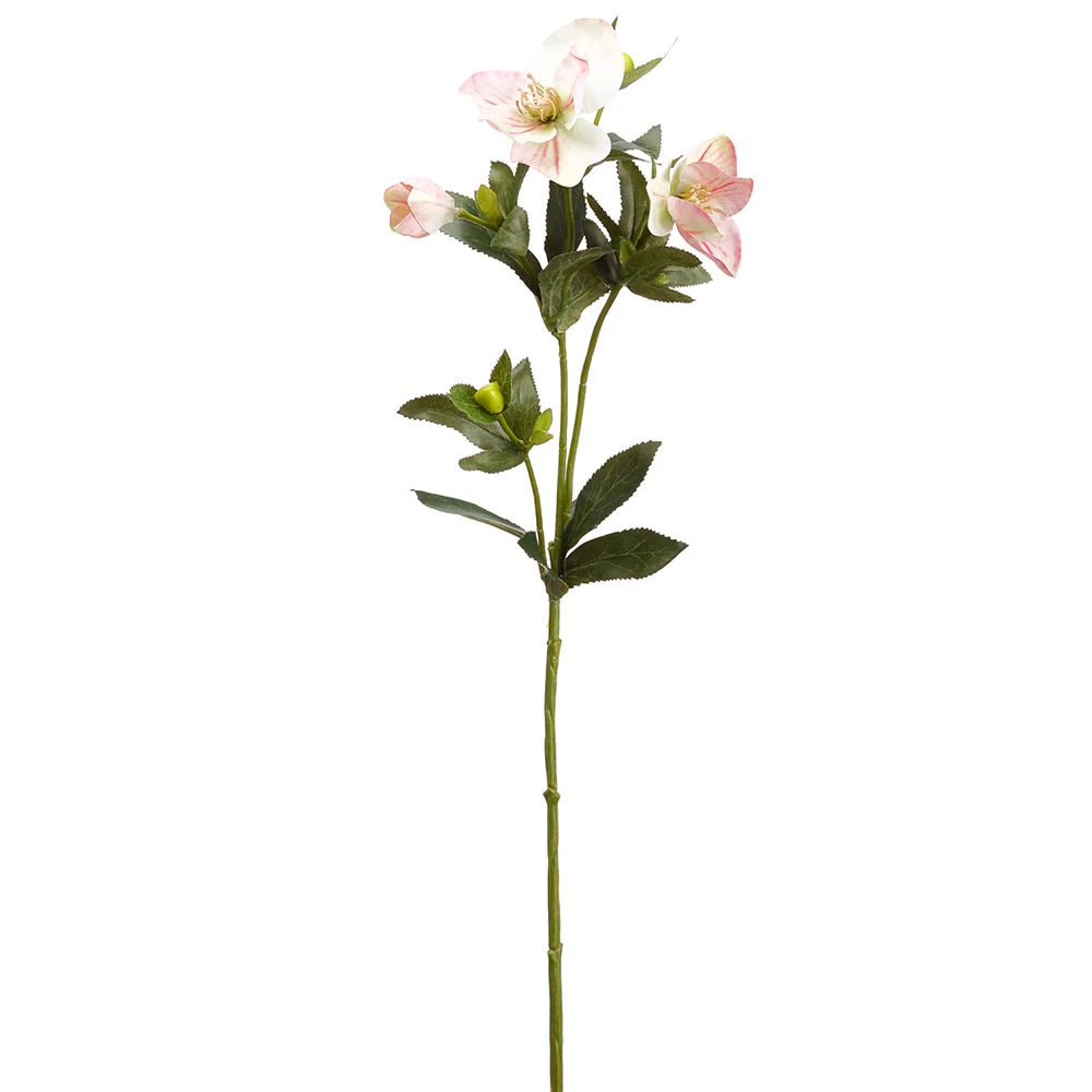 25" Silk Helleborus Flower Stem -Pink/Green (Pack of 12)