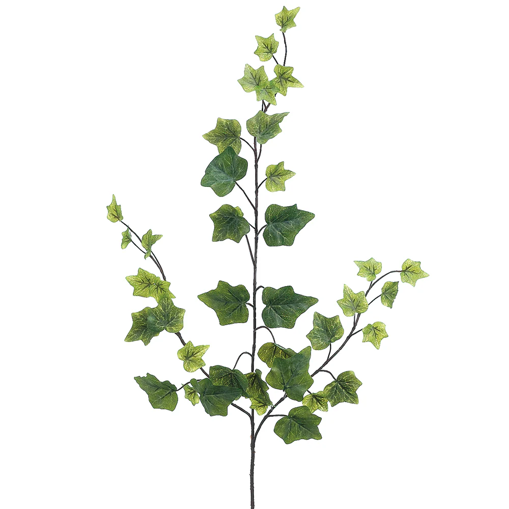25" Silk One-Piece Construction Hedera Ivy Stem -Green (Pack of 24)