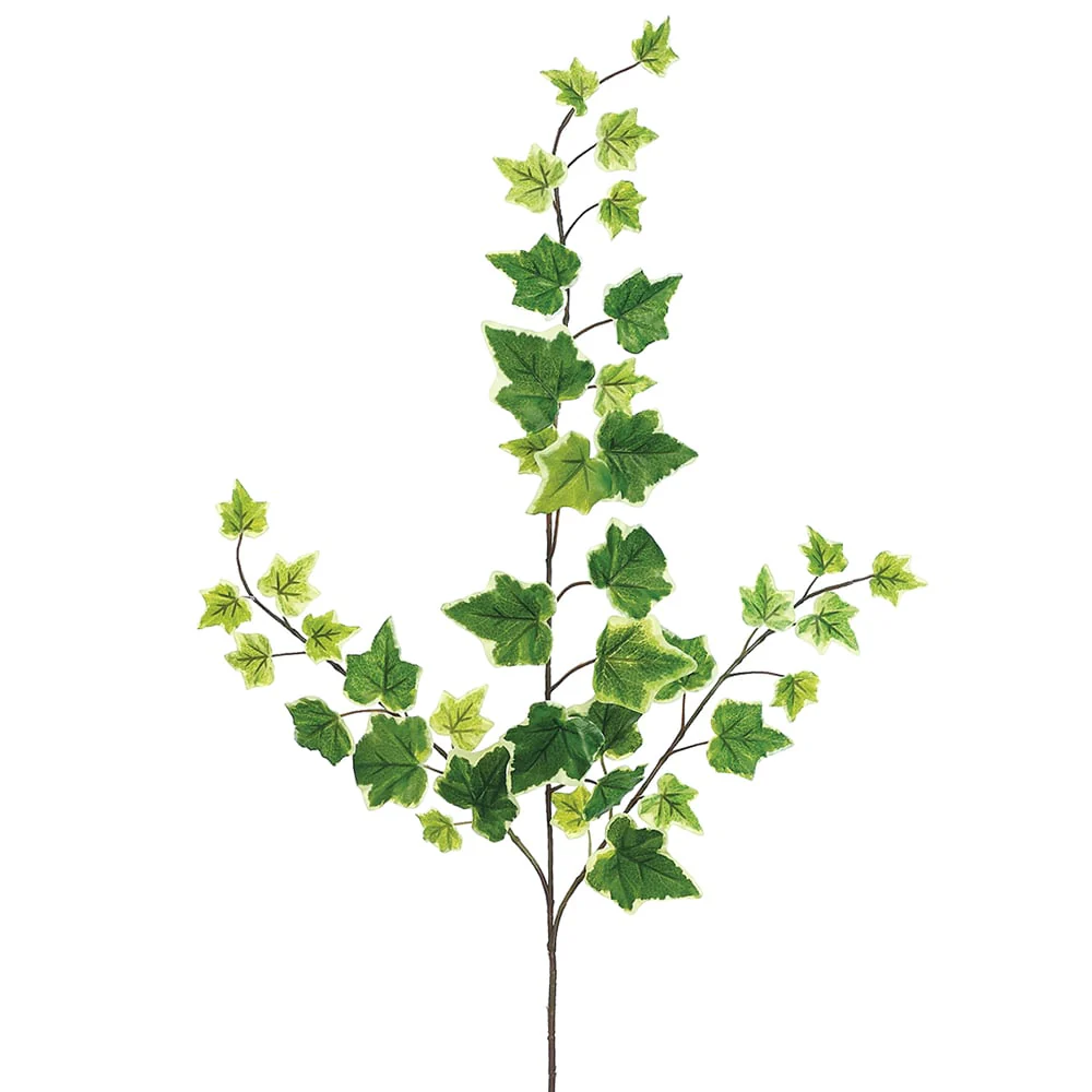 25" Silk One-Piece Construction Ivy Stem -Variegated (Pack of 24)