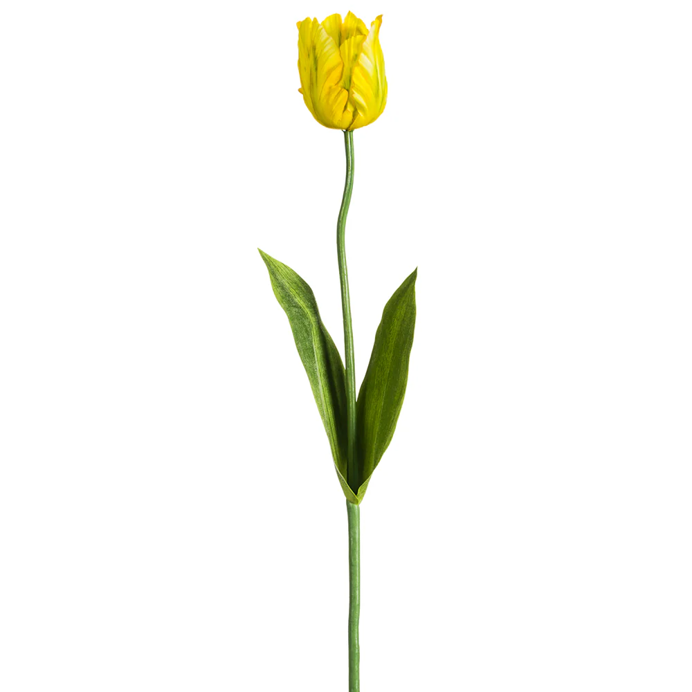 25" Silk Parrot Tulip Flower Stem -Yellow (Pack of 12)