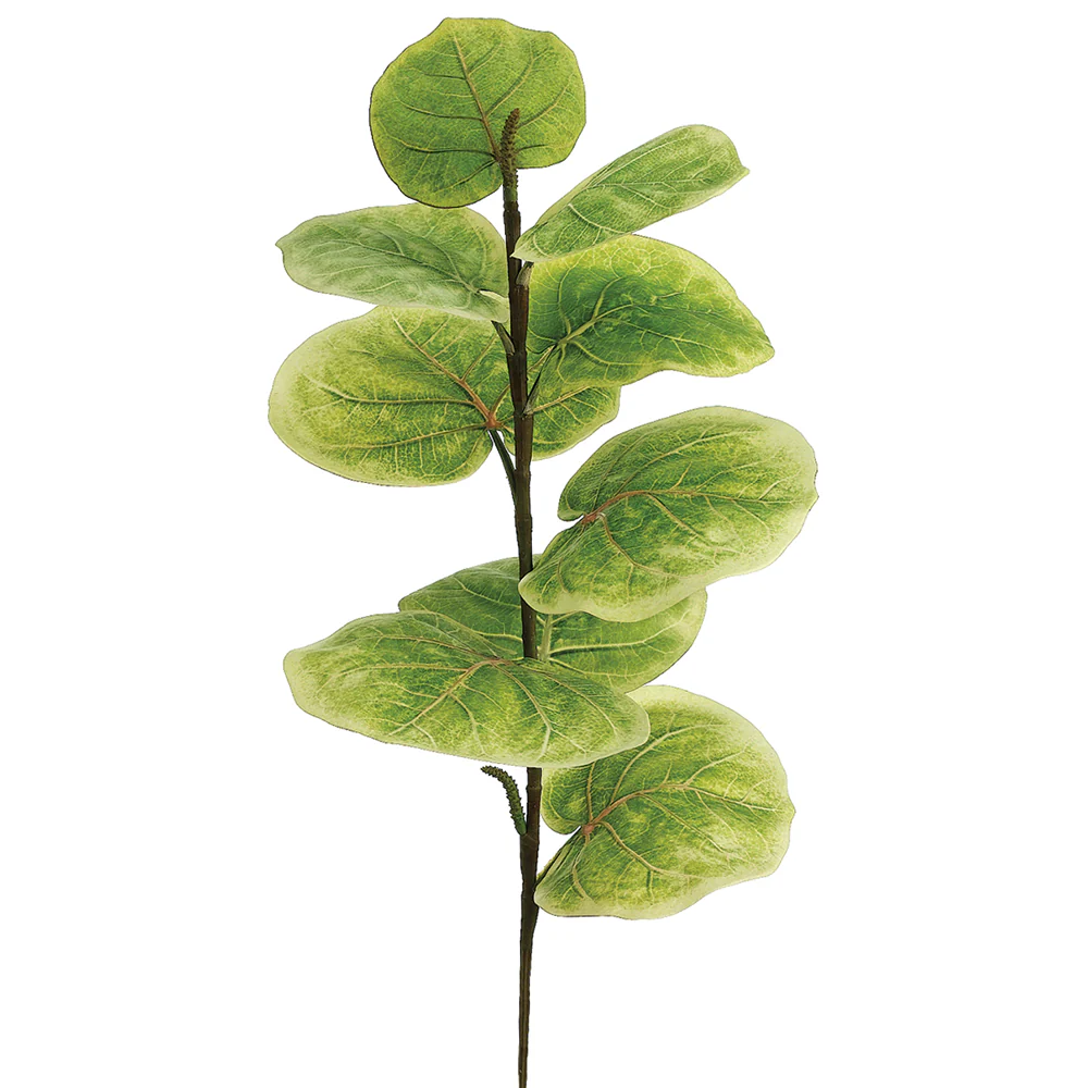 25" Silk Seagrape Stem -Light Green (Pack of 6)