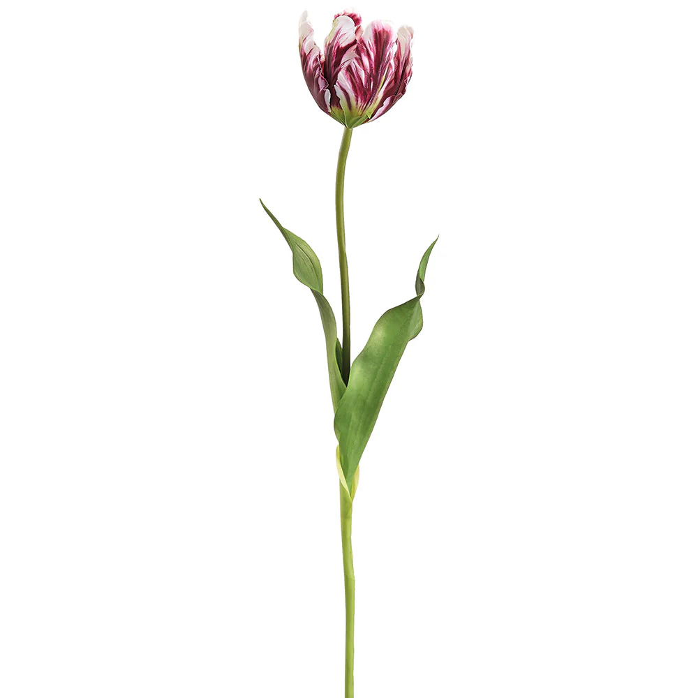 25" Tulip Silk Flower Stem -Burgundy/White (Pack of 12)