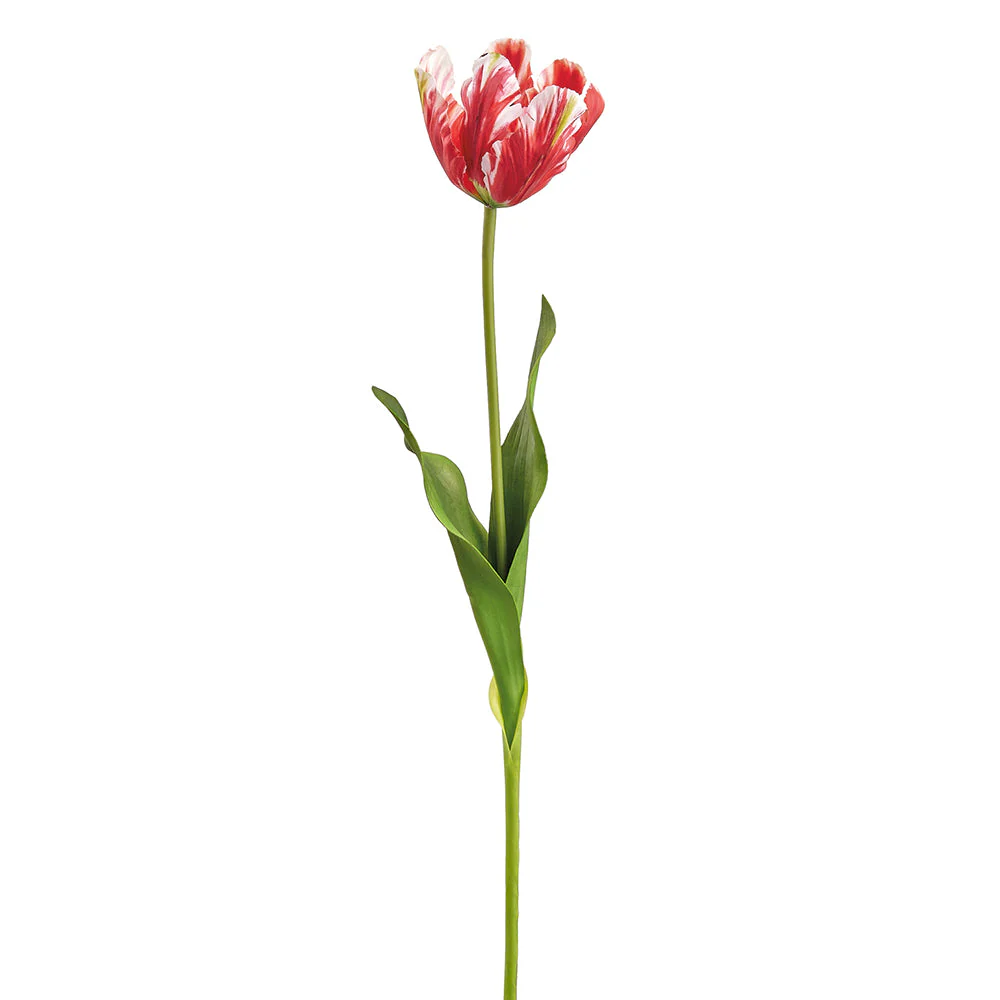 25" Tulip Silk Flower Stem -Red/White (Pack of 12)