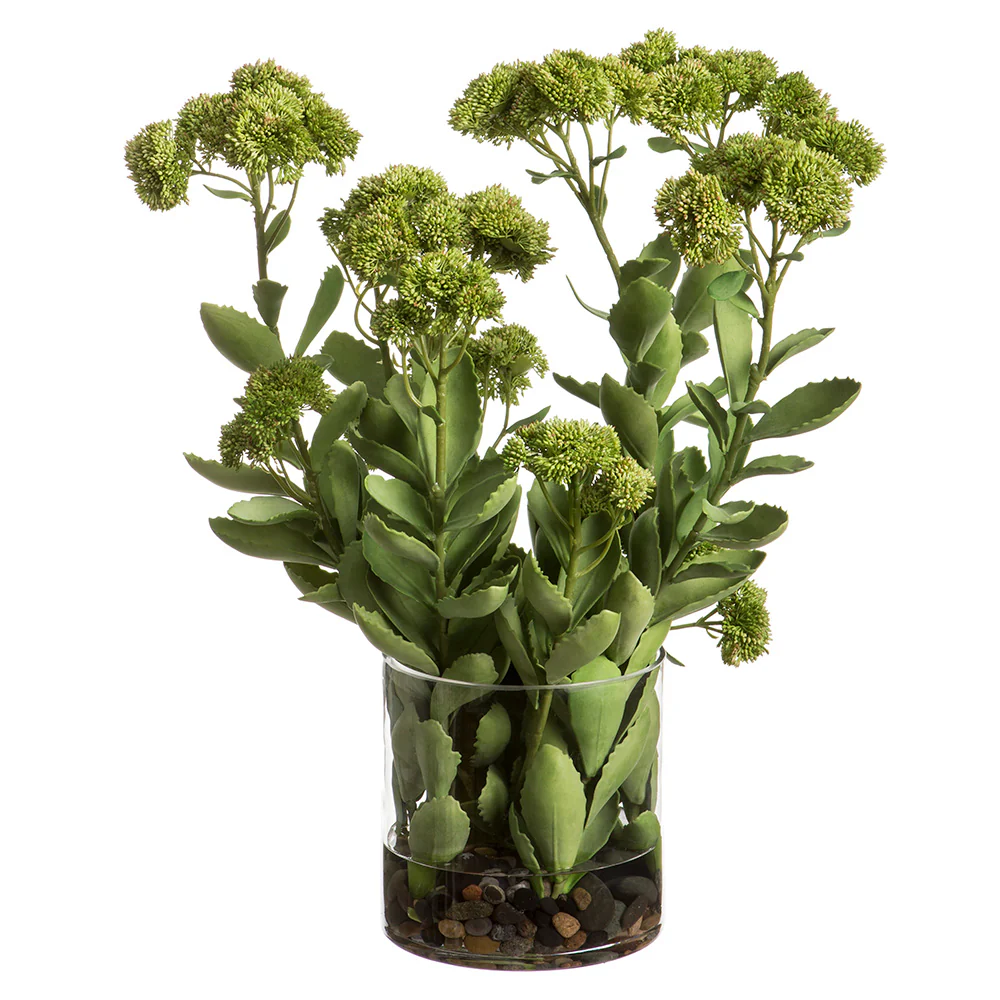 25"Hx20"W Artificial Sedum Flower Arrangement w/Glass Vase -Green/Burgundy
