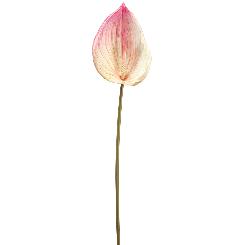 26.25" Silk Anthurium Flower Stem -Pink (Pack of 24)