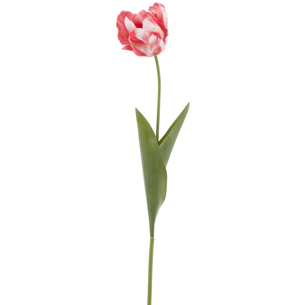 26.5" Real Touch Parrot Tulip Silk Flower Stem -Red (Pack of 12)