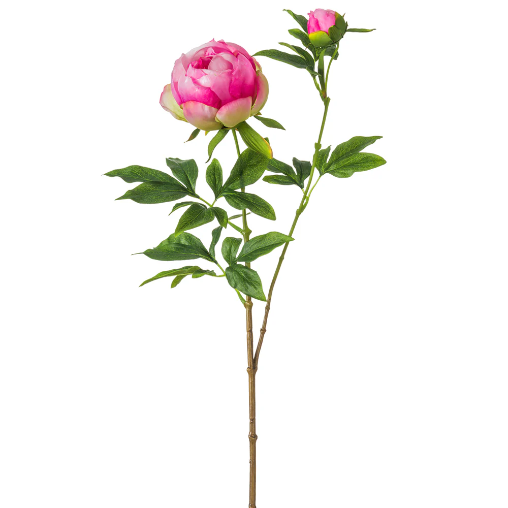26.5" Silk Peony Flower Stem -Fuchsia (Pack of 12)