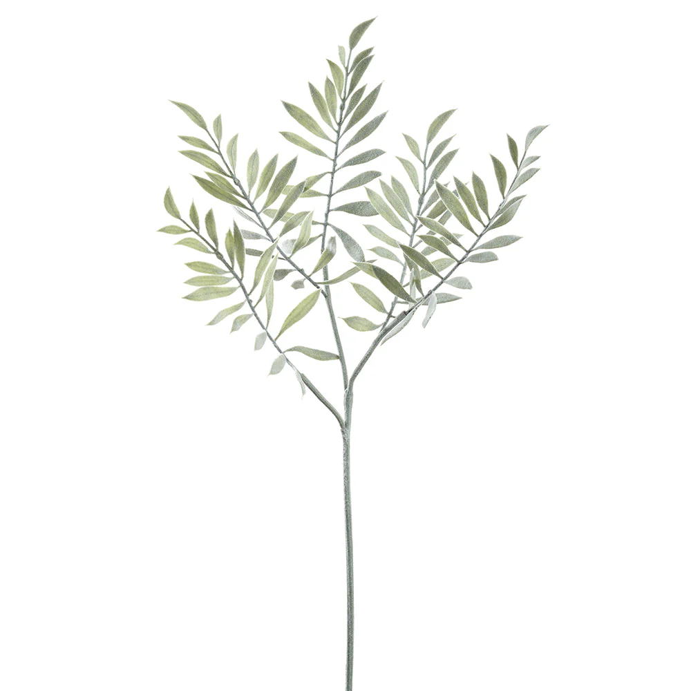 26.75" Artificial Formosa Acacia Stem -Gray/Green (Pack of 12)
