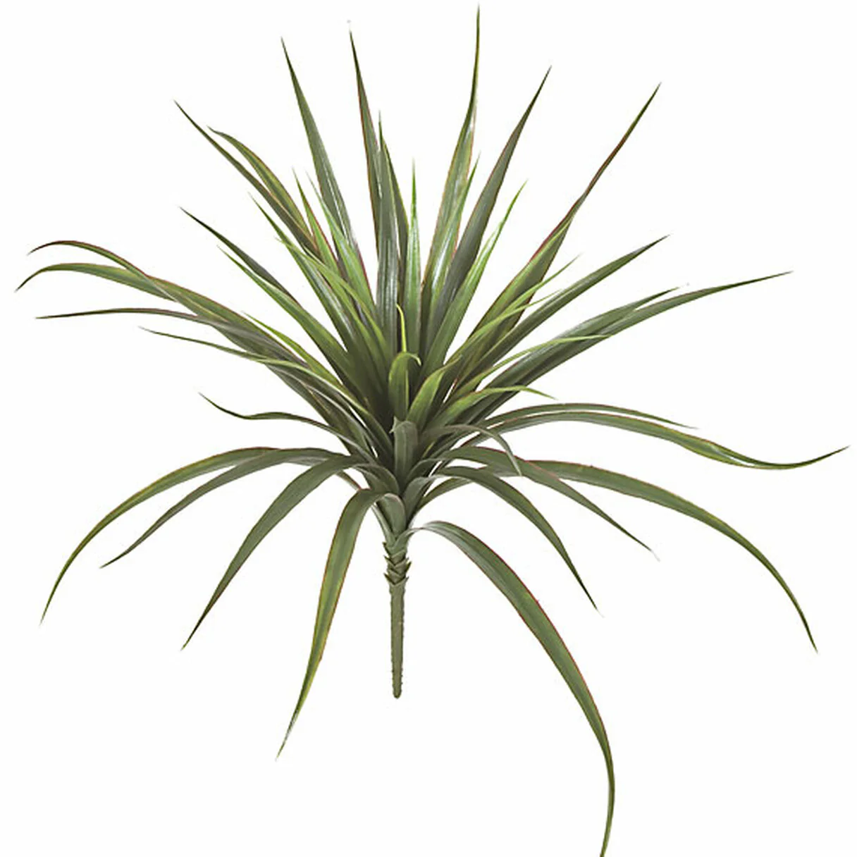 26" Artificial Yucca Plant -Green/Red (Pack of 6)