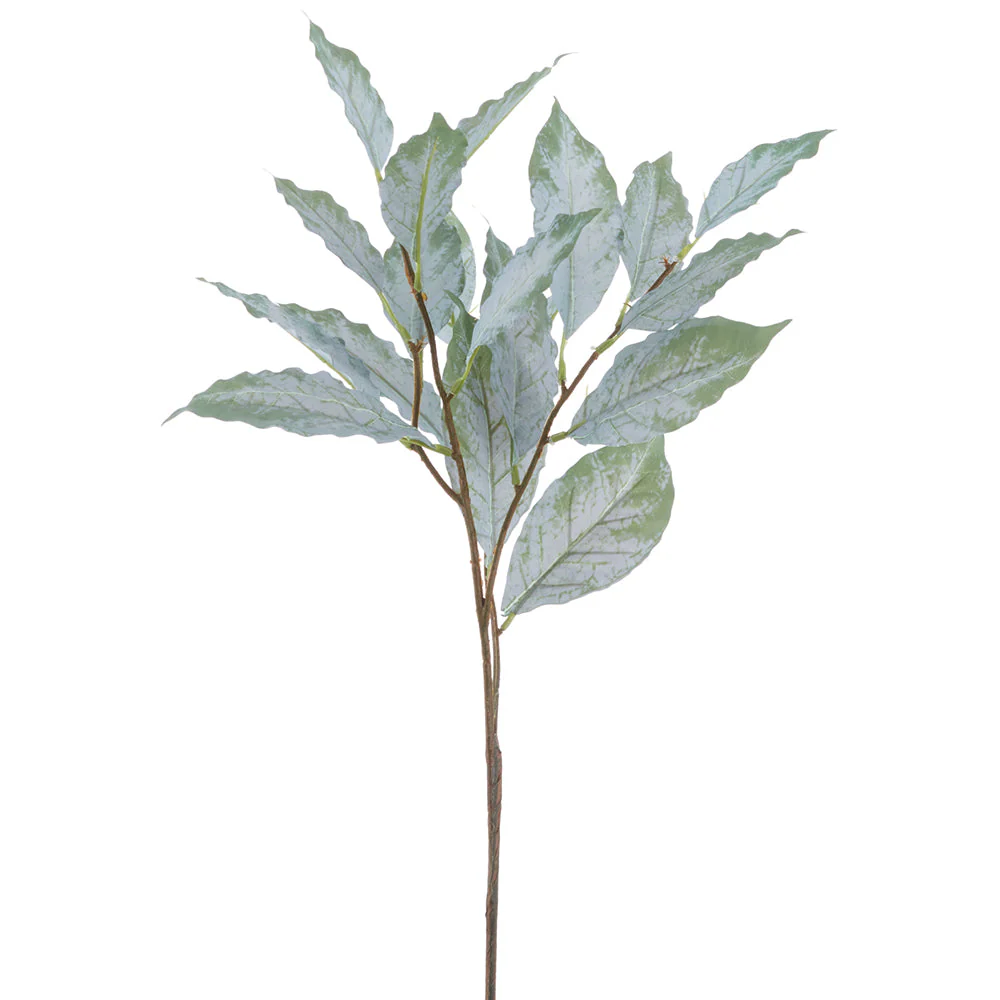 26" Coffee Bean Leaf Silk Stem -Green/Gray (Pack of 24)