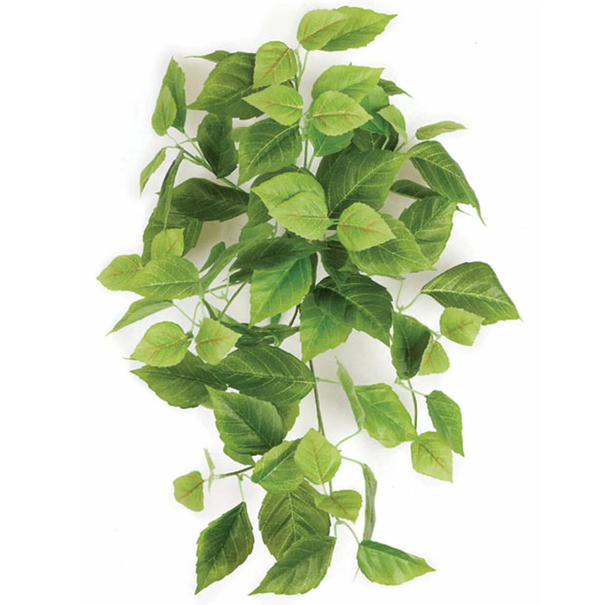 26" Hanging Cissus Leaf Silk Plant -Light Green (Pack of 12)