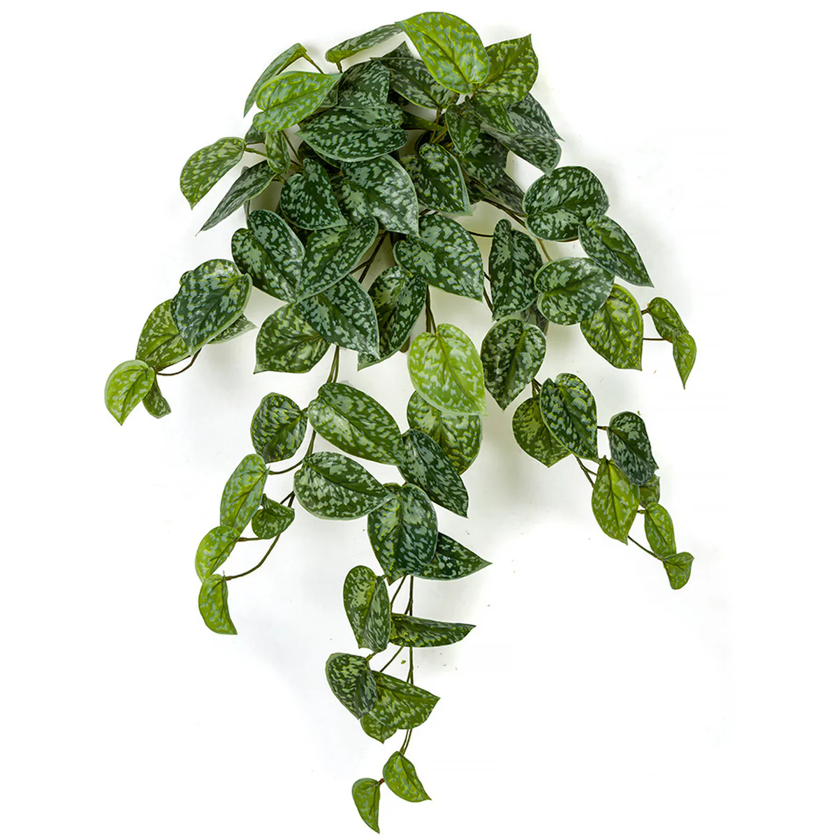 26" Hanging Scindapsus Silk Plant -Green/Gray (Pack of 6)