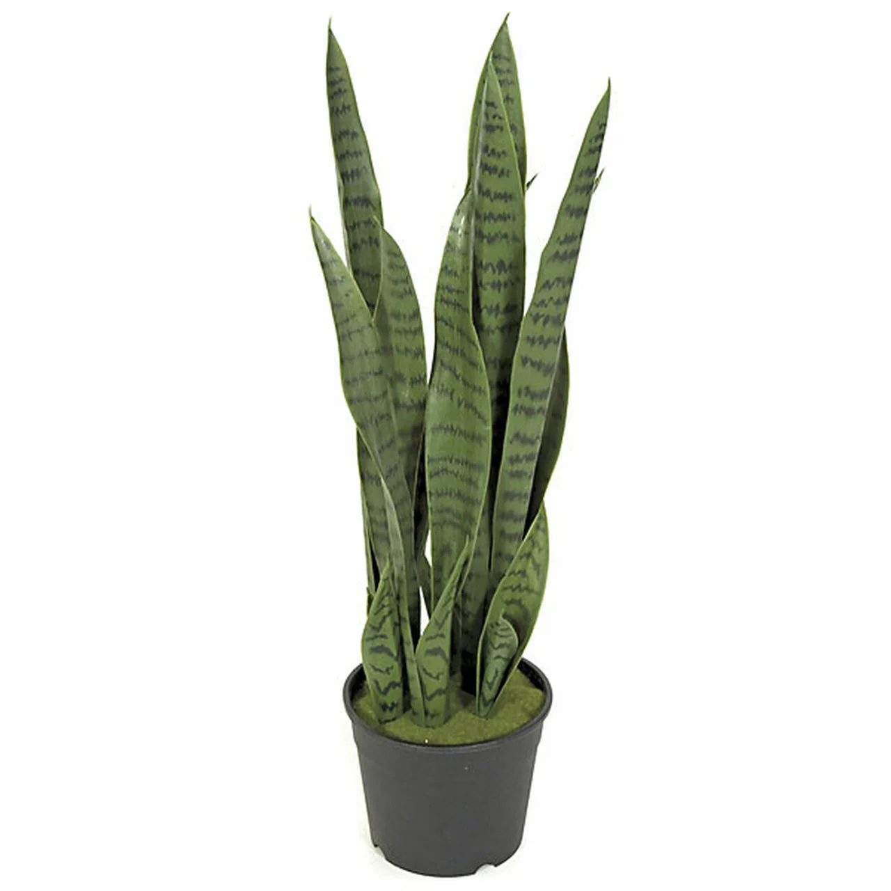 26" IFR Sansevieria Snake Artificial Plant w/Pot -Green