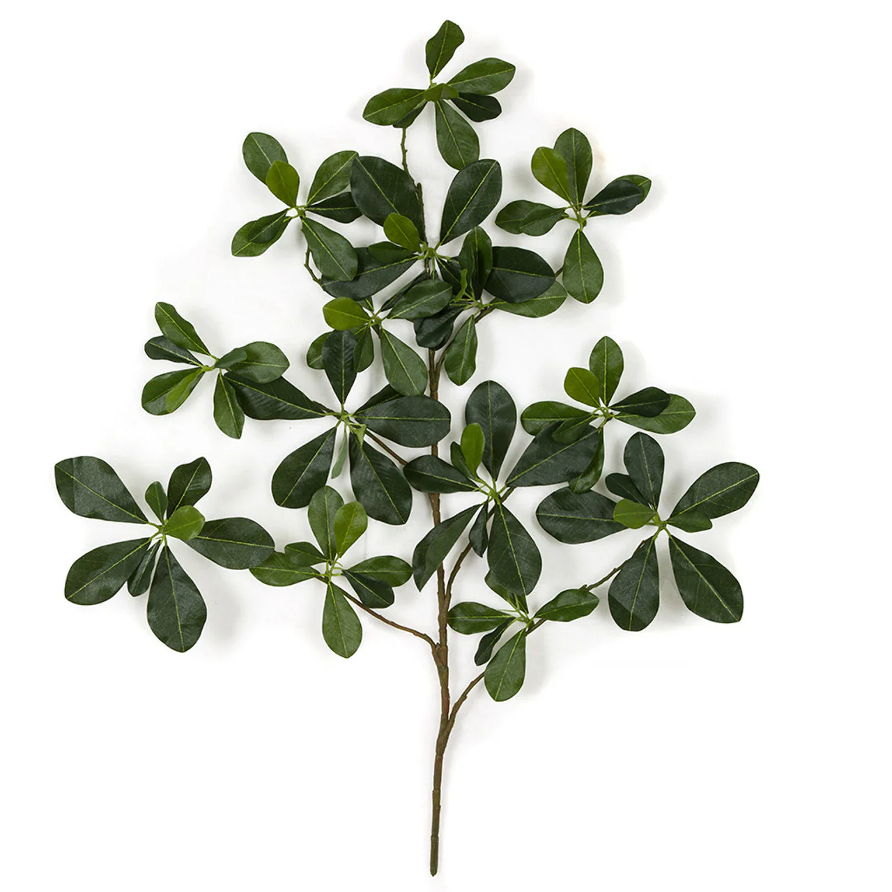 26" IFR Silk Black Olive Leaf Stem -Green (Pack of 24)
