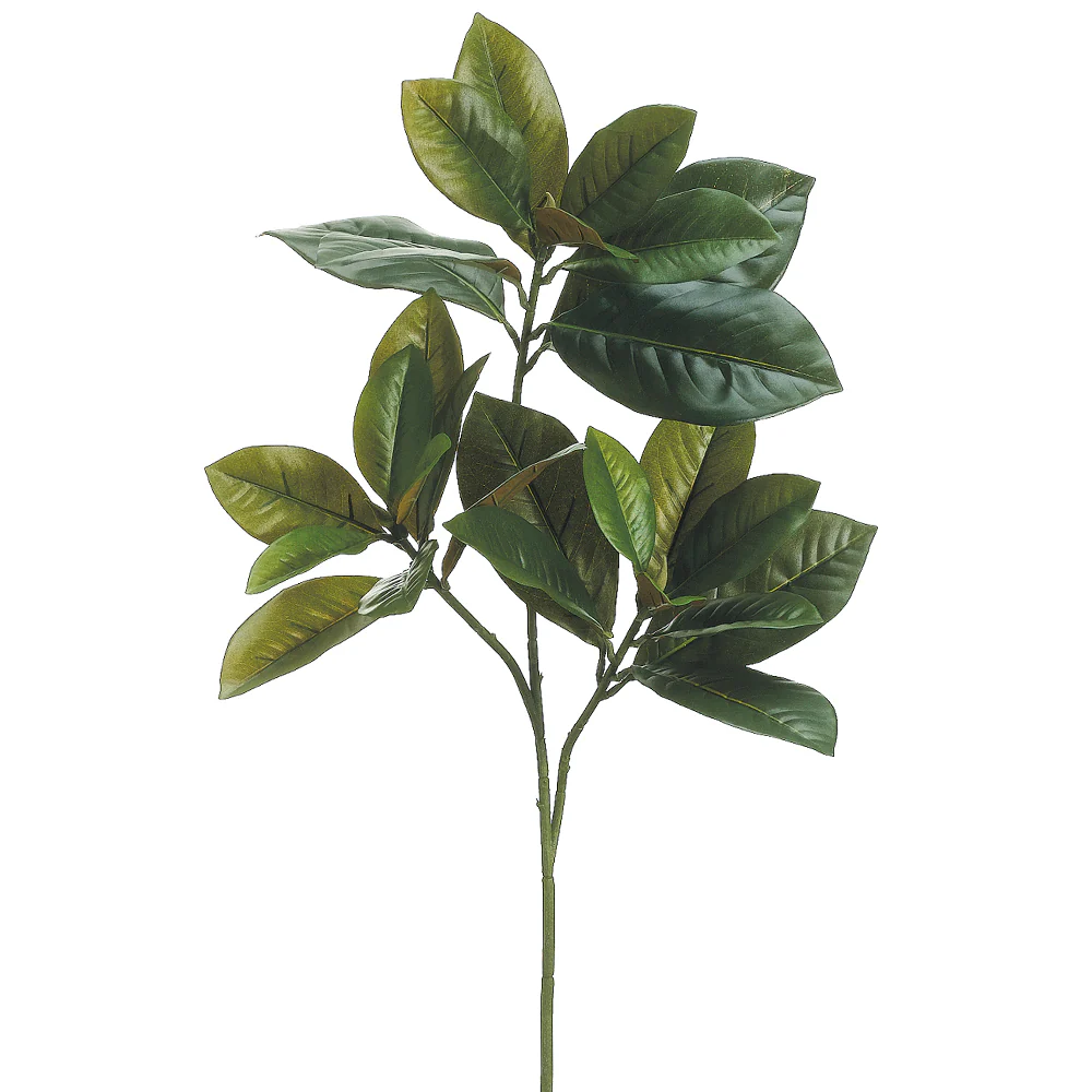 26" Magnolia Leaf Silk Stem -Green (Pack of 12)