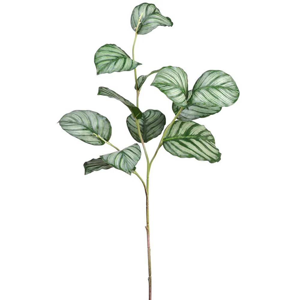 26" Real Touch Artificial Calathea Peacock Leaf Stem -Green (Pack of 12)