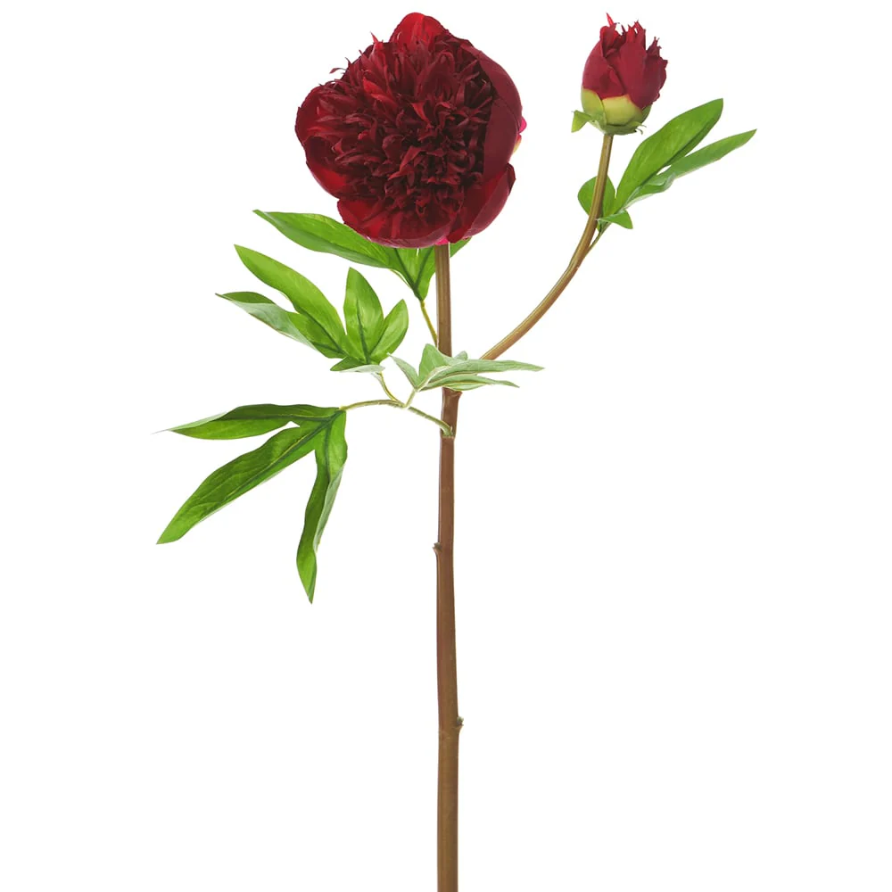 26" Real Touch Silk Peony Flower Stem -Burgundy (Pack of 12)