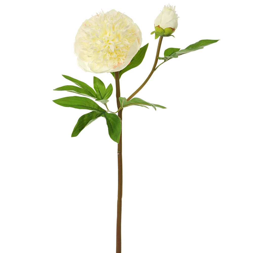 26" Real Touch Silk Peony Flower Stem -White (Pack of 12)