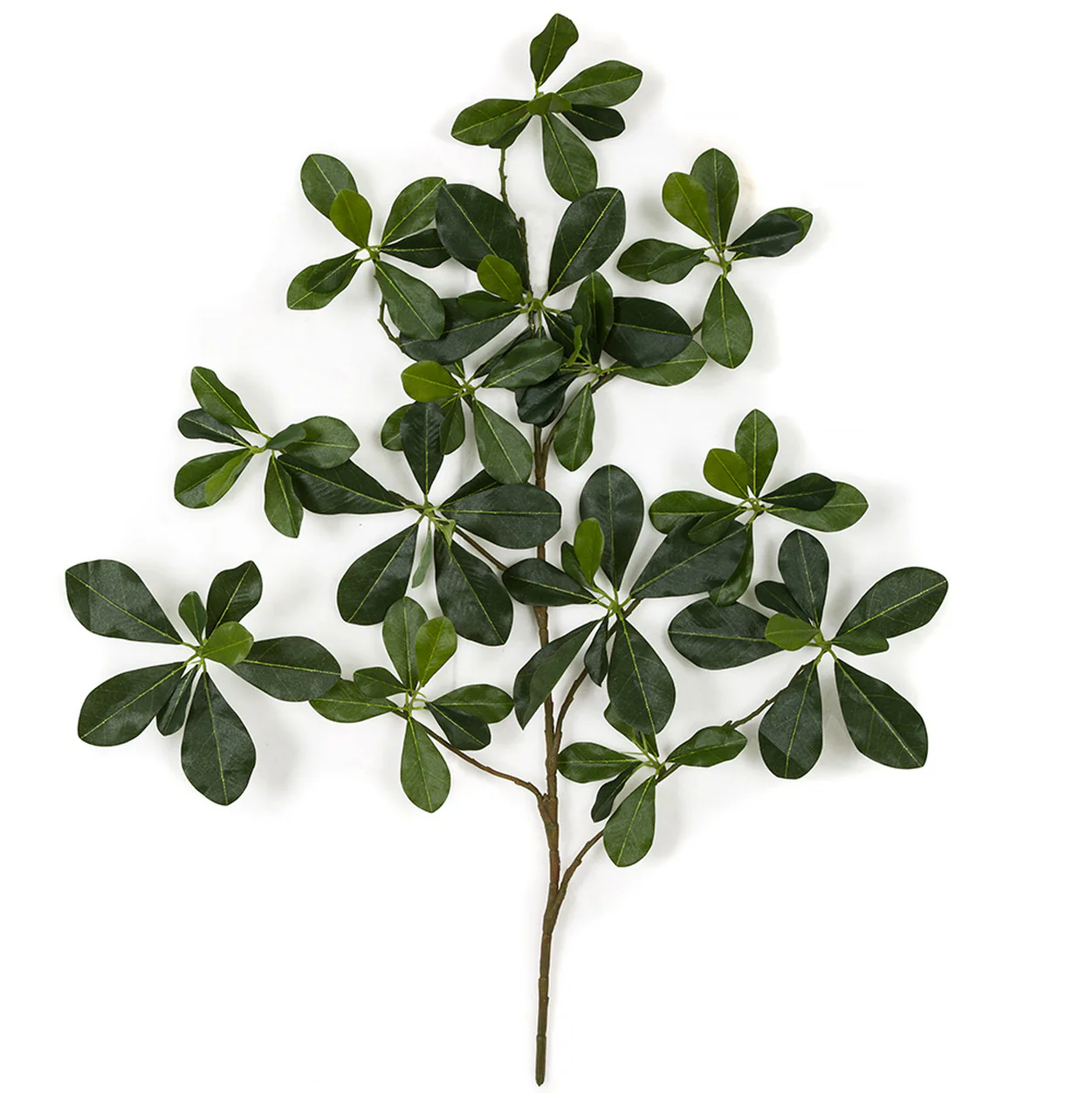 26" Silk Black Olive Leaf Stem -Green (Pack of 24)