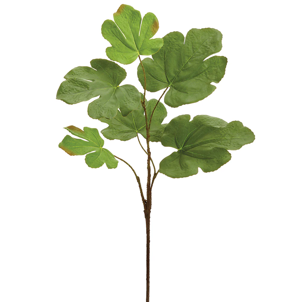 26" Silk Fig Leaf Stem -Green (Pack of 12)