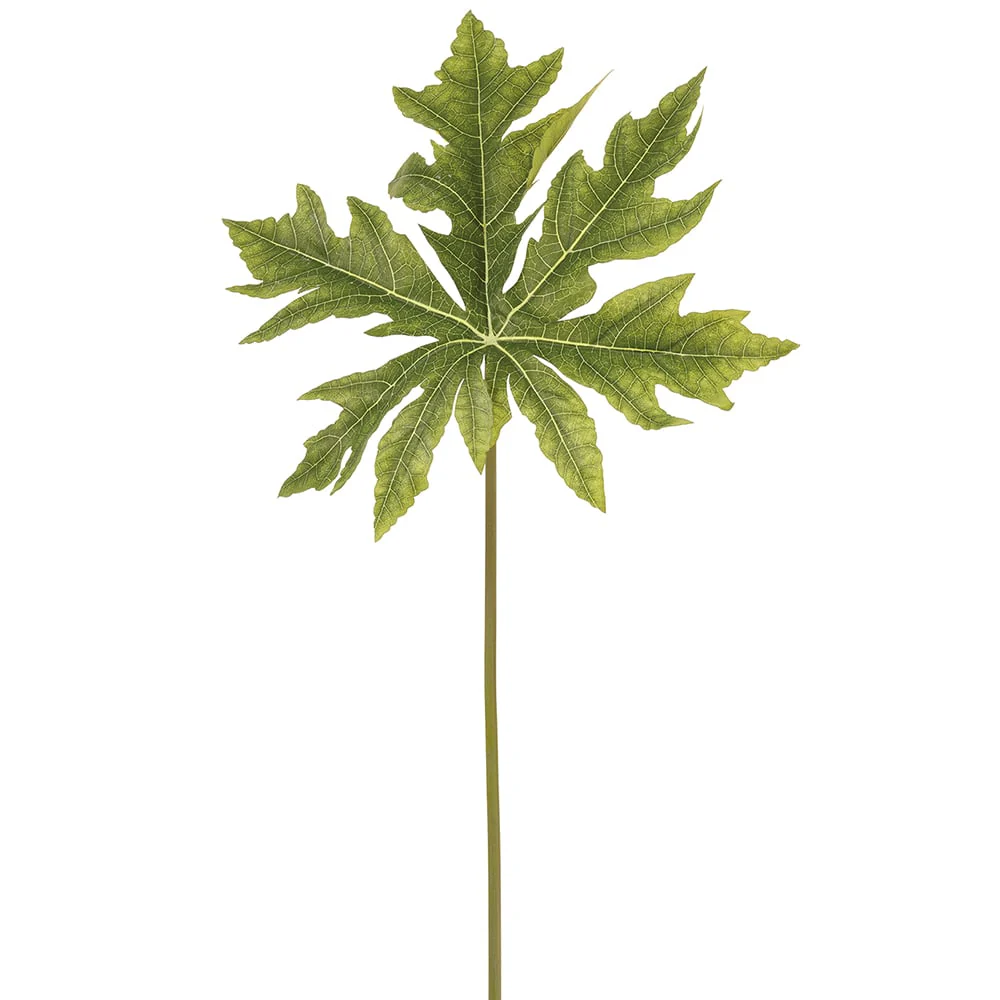 26" Silk Paw Paw Leaf Stem -Green (Pack of 12)