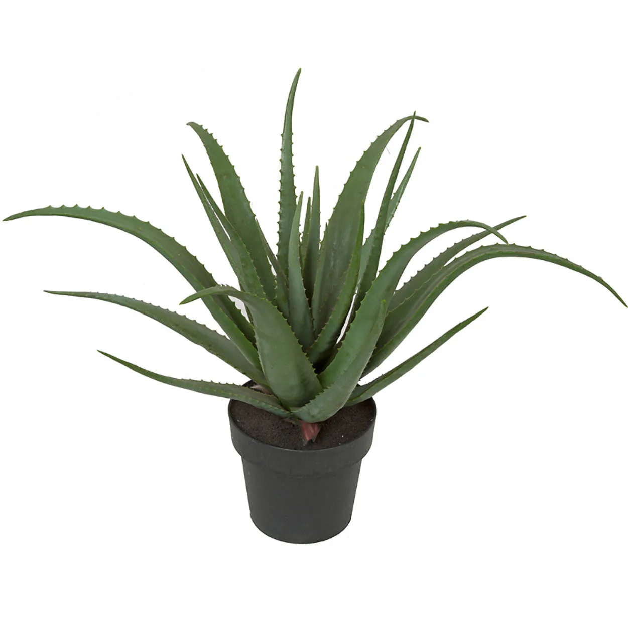 26" Soft-Touch Artificial Aloe Succulent Plant w/Pot -Green