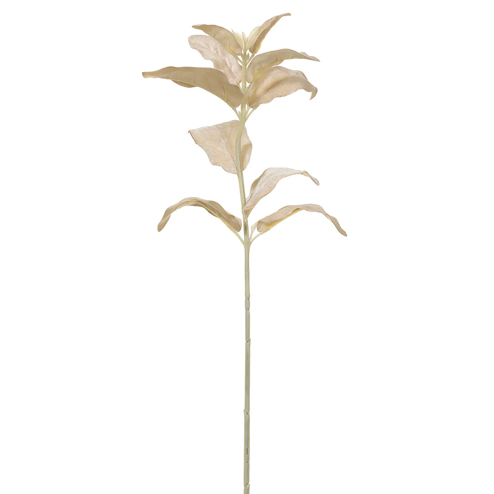 26" Velvet Artificial Lamb's Ear Leaf Stem -Vanilla/Gold (Pack of 12)