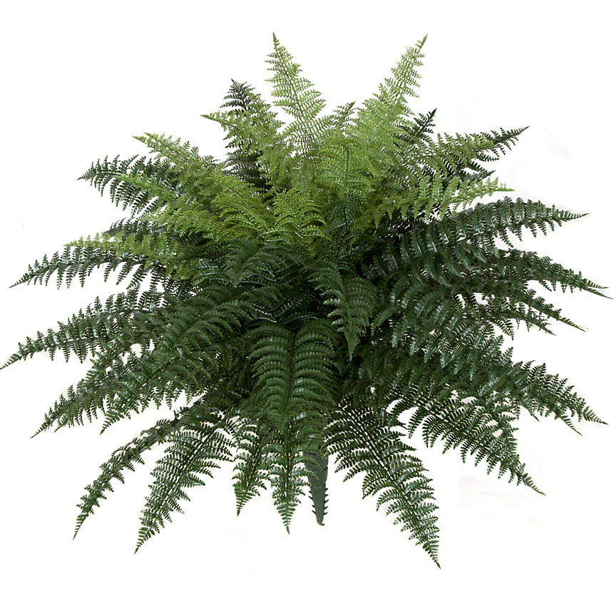 26"Hx34"W Outdoor UV-Proof Artificial Ruffle Fern Plant -Green (Pack of 2)