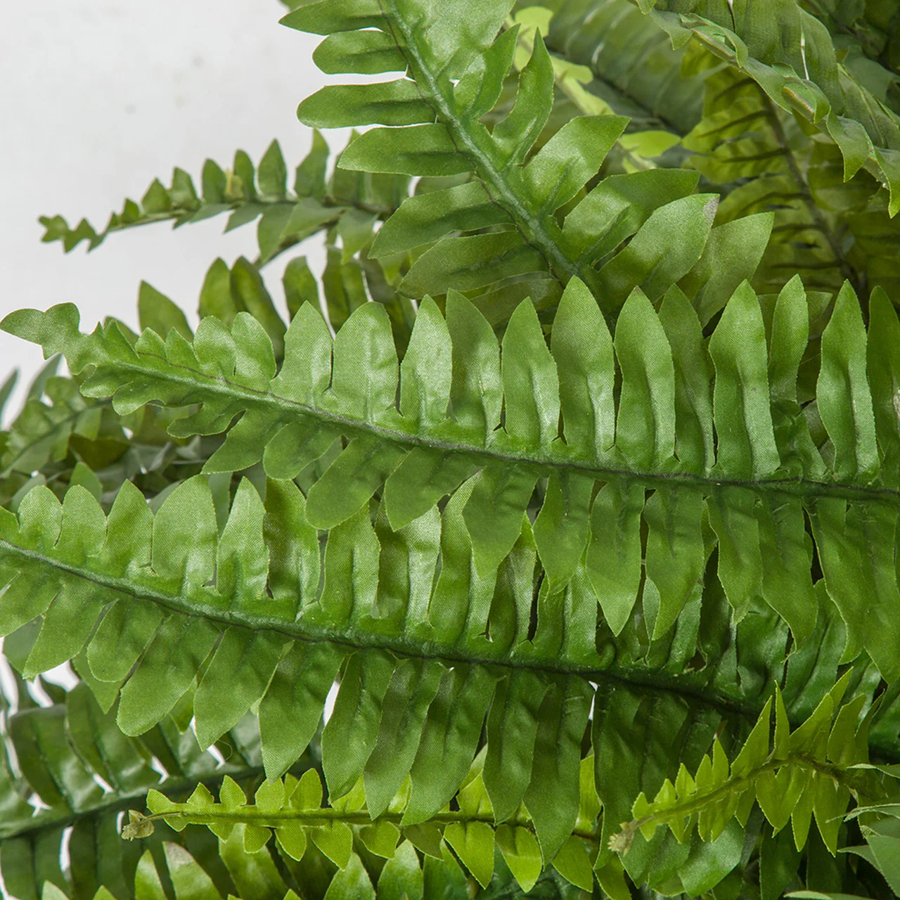 26"Hx52"W Boston Silk Fern Plant -Green (Pack of 2) - Image 2