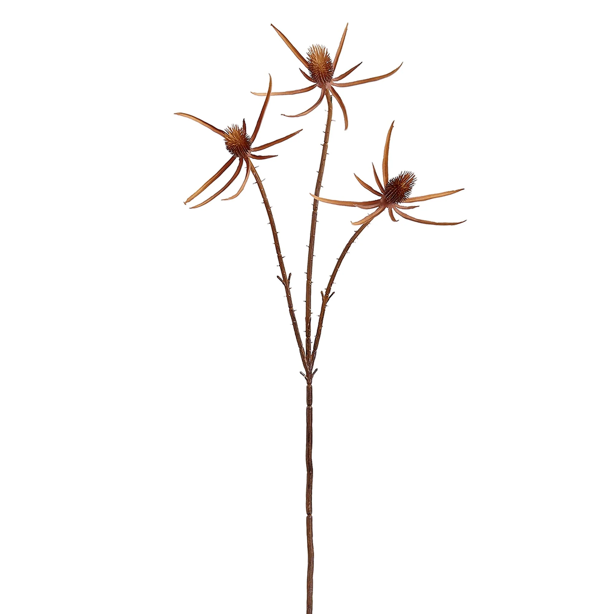 27.5" Artificial Eryngium Flower Stem -Brown (Pack of 12)