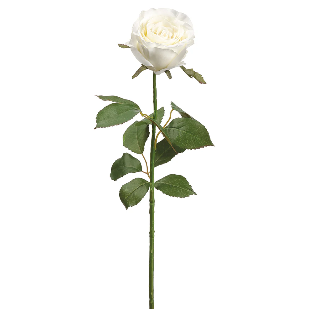 27.5" Large Cottage Rose Bud Silk Flower Stem -Cream (Pack of 12)