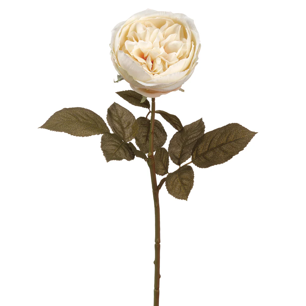 27.5" Silk English Rose Flower Spray -Eggshell (Pack of 12)